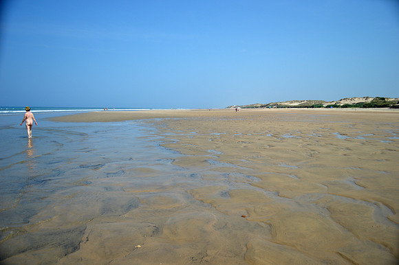 2013