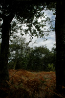 2005