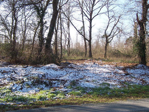 2007