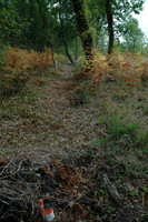 2005