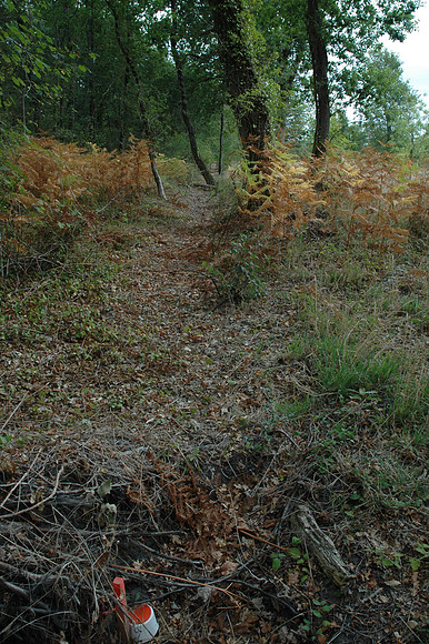 2005