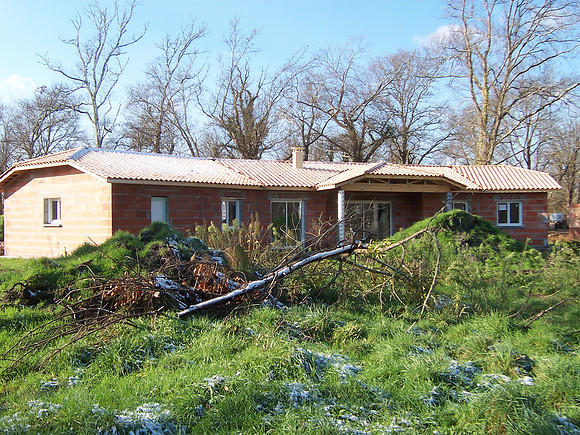 2007