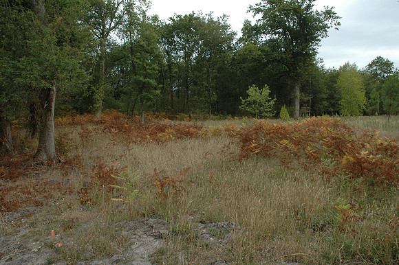 2005