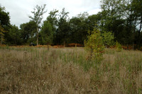 2005