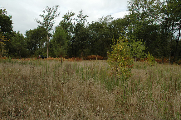 2005