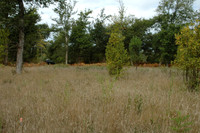 2005