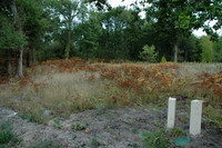 2005