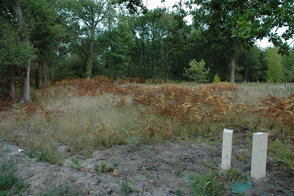 2005