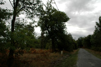 2005