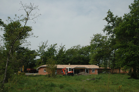 2007