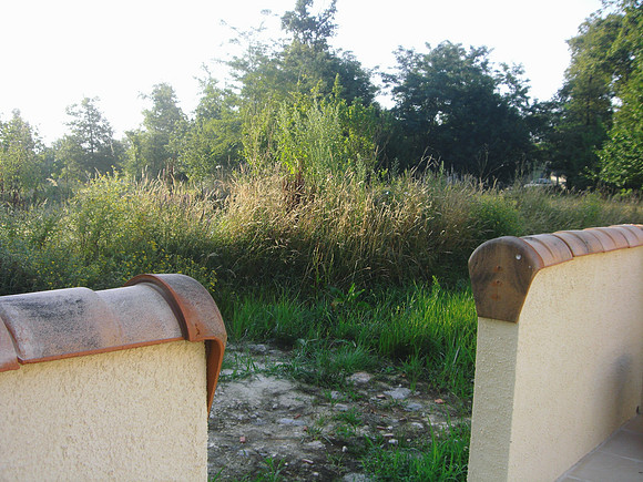 2008