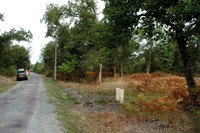2005