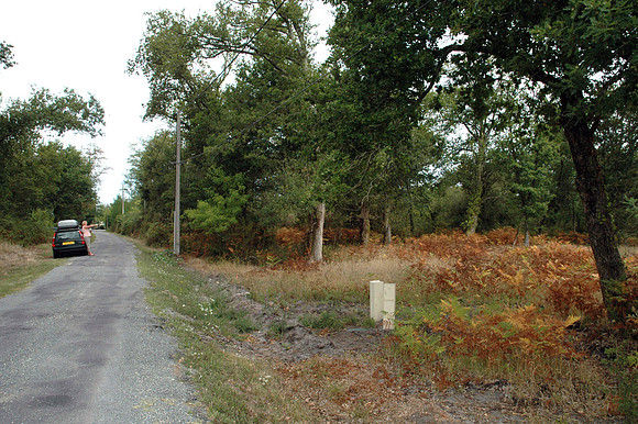 2005