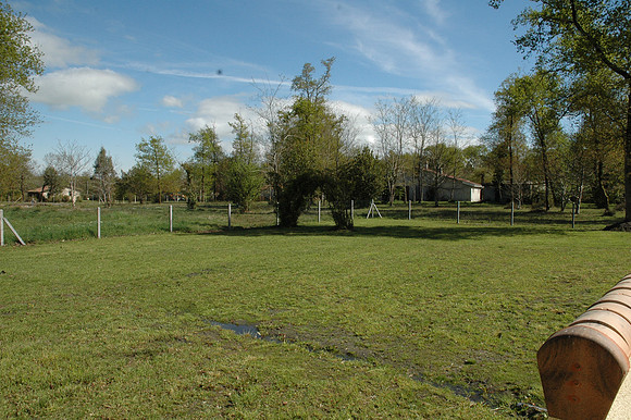 2009