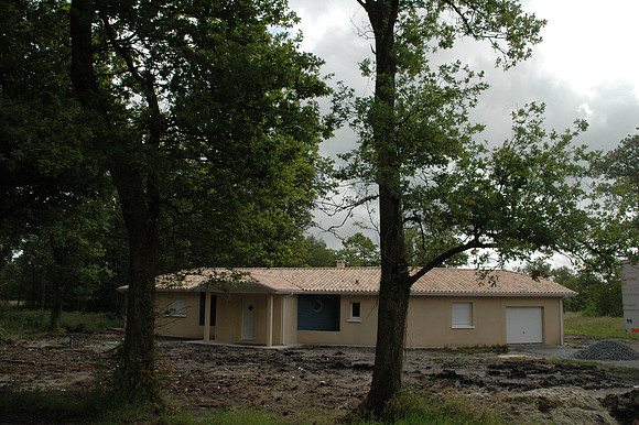 2007