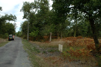 2005