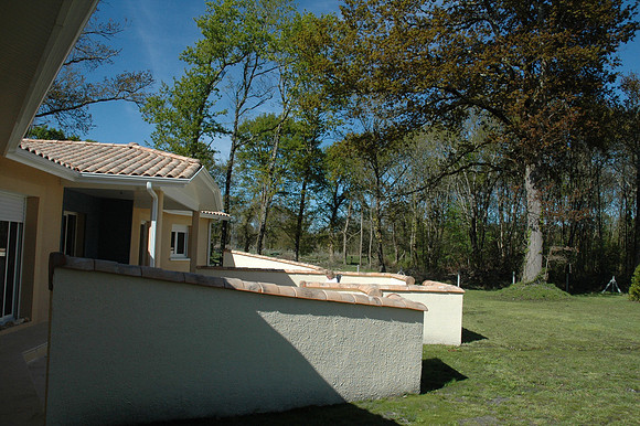2009
