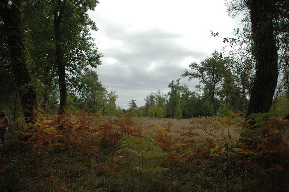 2005
