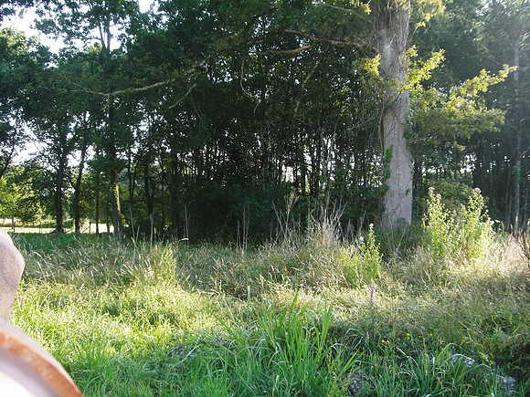 2008